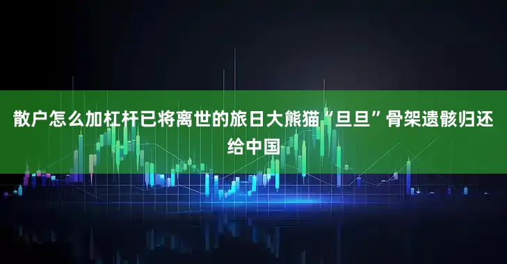 散户怎么加杠杆已将离世的旅日大熊猫“旦旦”骨架遗骸归还给中国