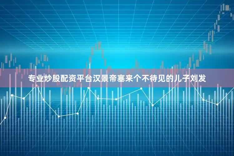 专业炒股配资平台汉景帝塞来个不待见的儿子刘发